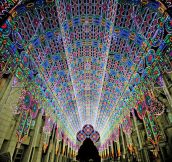 Cathedral from 55,000 LEDs…