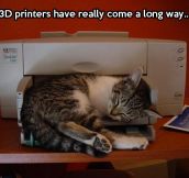3D printers can print everything…