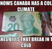 The problem with living in Canada…