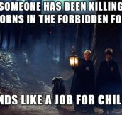 Dumbledore didn’t always make the best decisions…