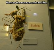 Interesting museum find…