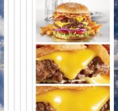 39 megapixel photo of a burger…