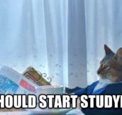 What every student is thinking right now…