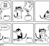 Cat’s logic with food…