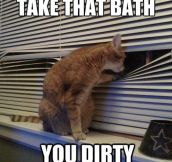 Take that bath…