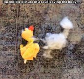A soul leaving the body…