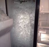 Never forget to put the ice tray back in the freezer…