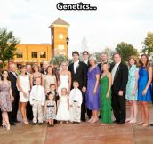 How genetics work…
