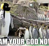 God penguin…