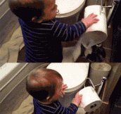 Only one good reason for a backwards toilet roll…