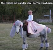 Why I need a horse…