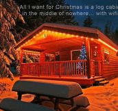 My dream for Christmas…