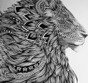 Majestic lion…