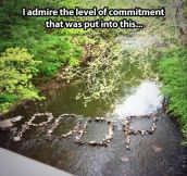 Level of commitment…