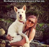 Unaware of her size…