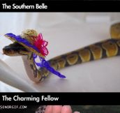 Snakes have never been more pretty…