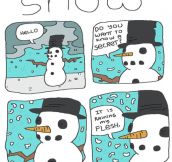 Snowman’s secret…