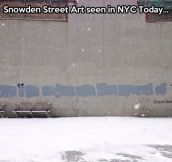 Snowden Street Art…