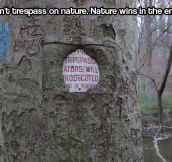 Nature wins in the end…