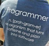 Meaning of programmer…