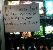 You don’t mess with someone’s Cheetos…