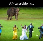 Things you have to deal with in Africa…