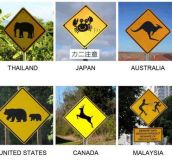 Different road signs around the world…