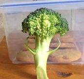 Broccoli skipped arm day