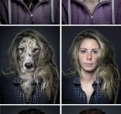 Dogs looking like their owners