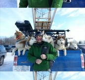 Some affectionate sled dogs
