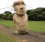 How the Easter Island statues may have been transported…
