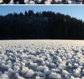 Ice flowers in Finland…
