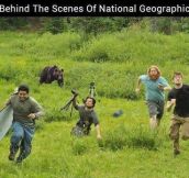 This is how documentaries work…