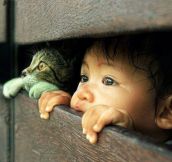 Cat and little girl…