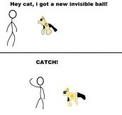 Catch it cat…