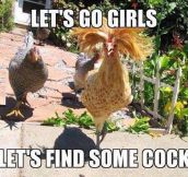 When chicks go out…
