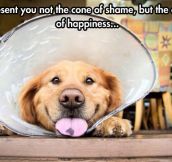 The cone of happiness…