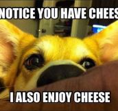 So, you have cheese…