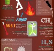 Facts about farts…
