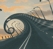 Bridge to Insanity…
