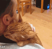 Cat gives his human a big hug…