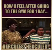 After one day at the gym…