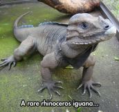 What a cute dinosaur…