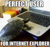 Internet explorer user…