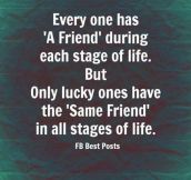 Every one has a friend…