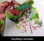 Everything is connected…