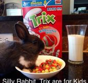 Mom! There’s a hare in my cereal!