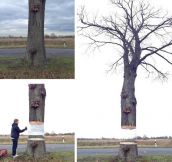 Creative art involving a tree…