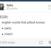 The lyrics of Pitbull…