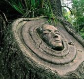 Carved in a forest by Keith Jennings…